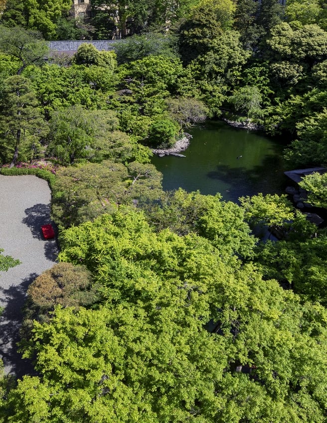 Set in a Japanese garden that has been passed on since the Edo period