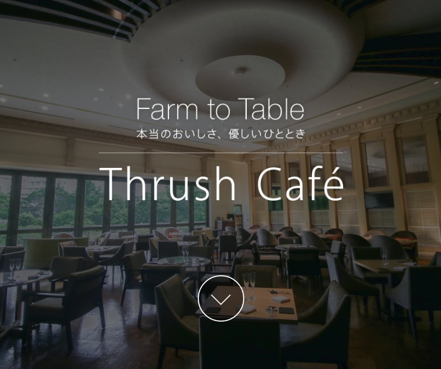 Thrush Café