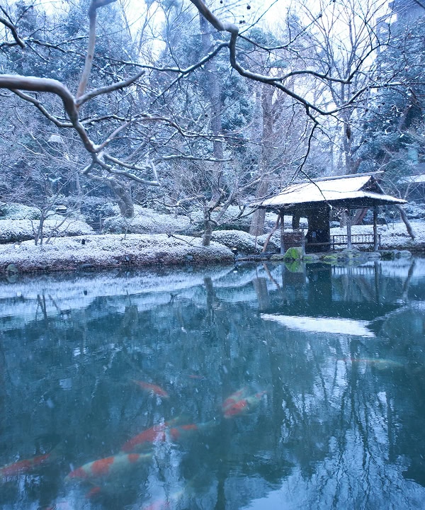 雪景色の池と木造の休憩所、冬の静かな庭園風景.