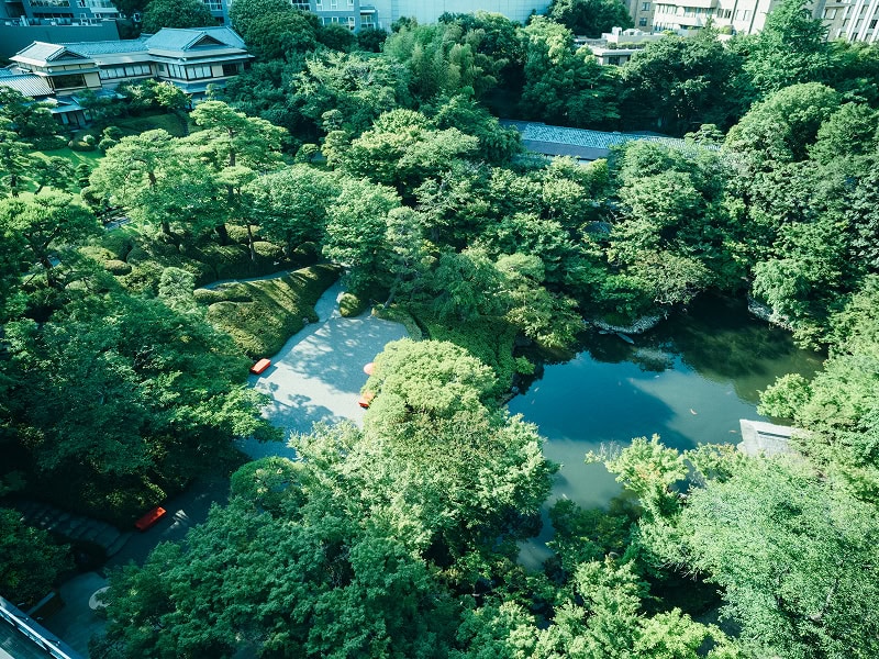 伝統的な日本庭園と池が美しく調和した緑豊かな庭園風景.