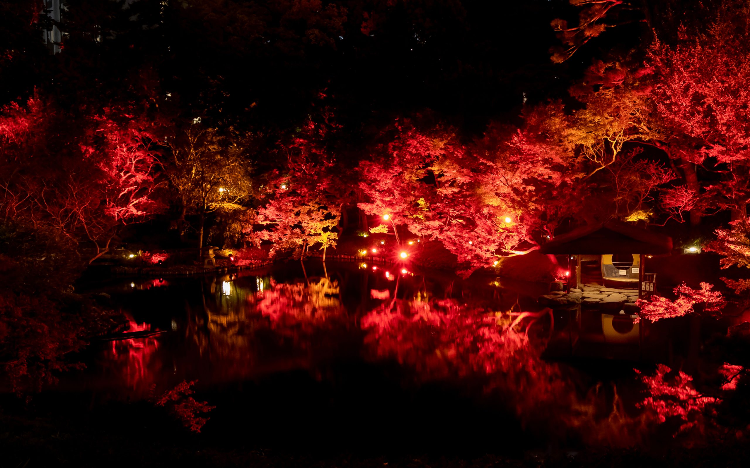 東京の紅葉ライトアップと池の反射、ロマンチックなウェディングフォトに最適な風景.